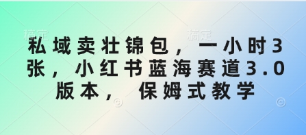 私域卖壮锦包，一小时3张，小红书蓝海赛道3.0版本， 保姆式教学-游戏体验馆