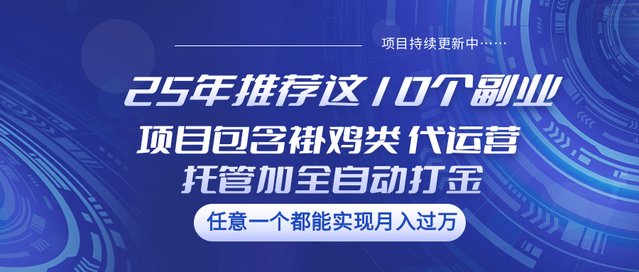 25年推荐这10个副业 项目包含褂鸡类、代运营托管类、全自动打金类-游戏体验馆